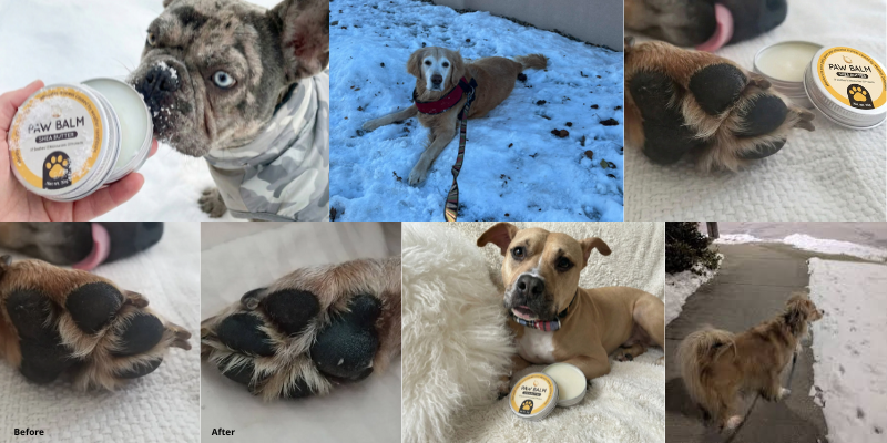 Before.png__PID:7afaacb6-d515-49a0-9507-09f5787b66f1