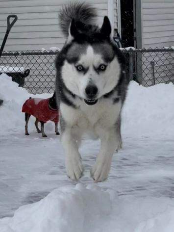 Lisa T., Madison, WI