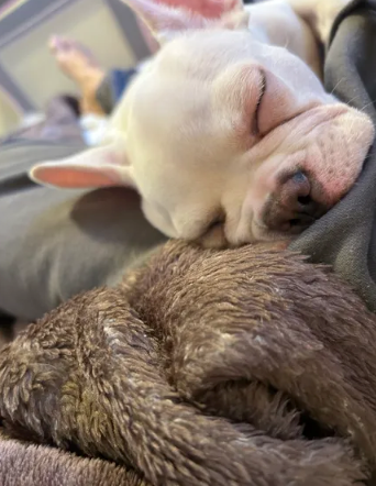 Patricia M., Chicago, IL