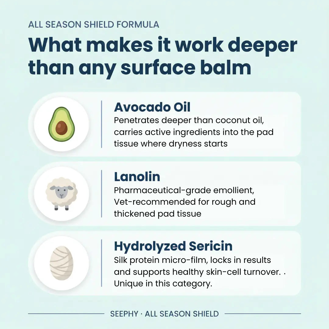 Seephy | All Season Shield Paw Balm (1 OZ)