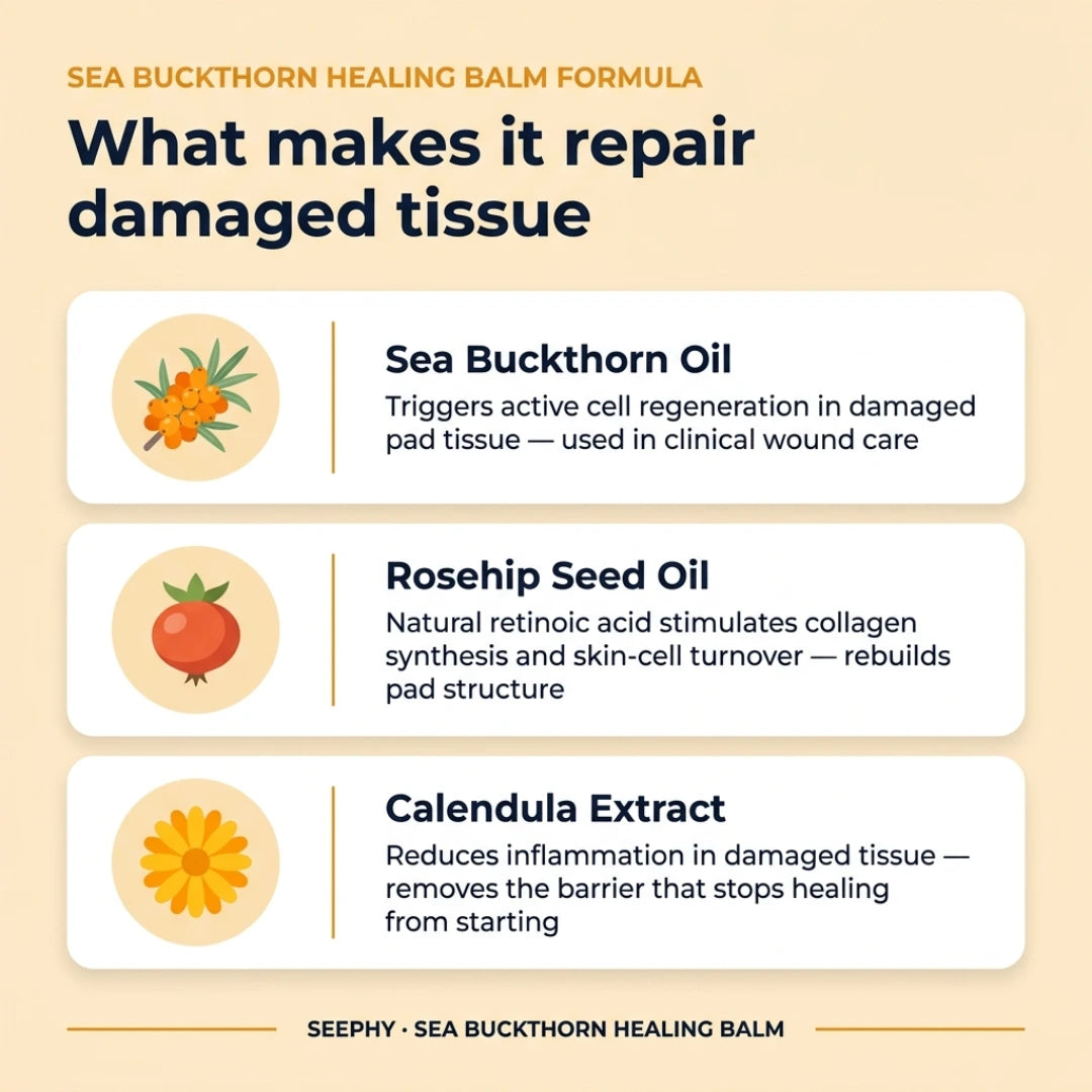 Seephy |  Sea Buckthorn Healing Balm (1 OZ)