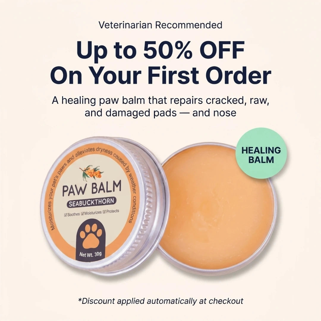 Seephy |  Sea Buckthorn Healing Balm (1 OZ)