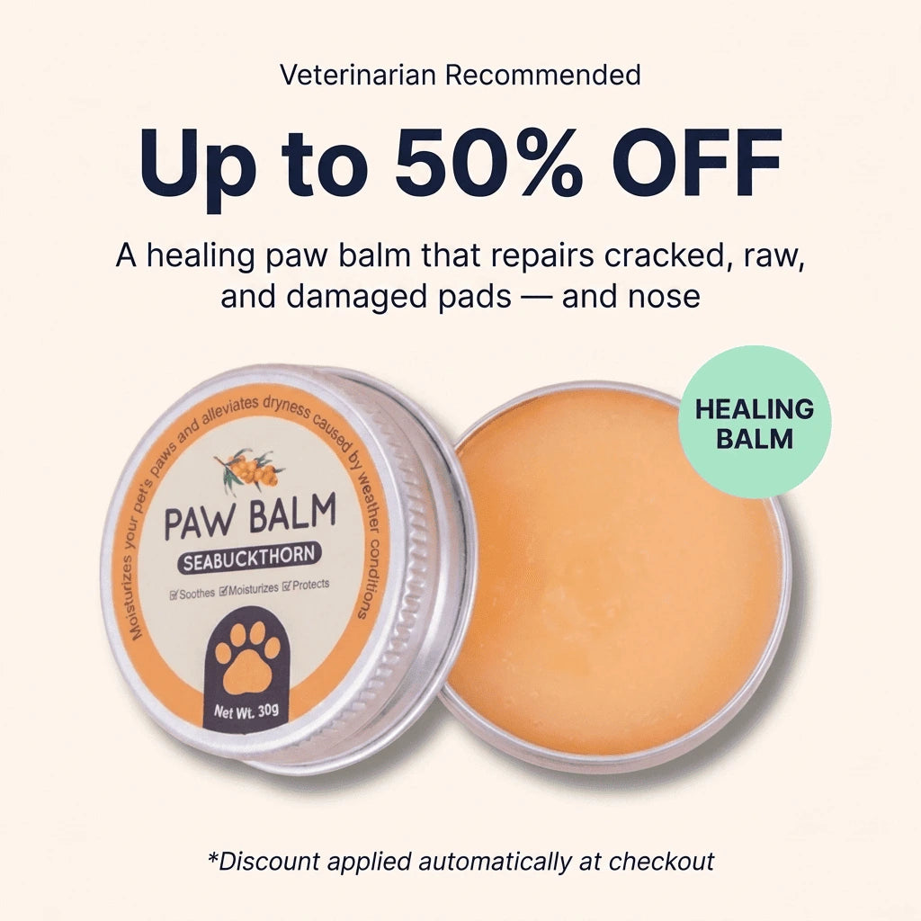 Seephy |  Sea Buckthorn Healing Balm (1 OZ)